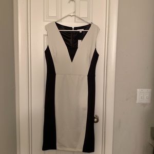New York and Company Dress